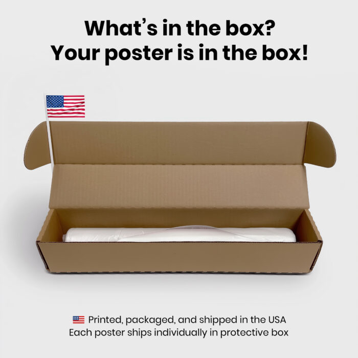 008.Packaging.jpg Really? Again? History Funny  Room Decor - Home Decor For Home -  History Repeating Unframed Wall Poster - Image 8