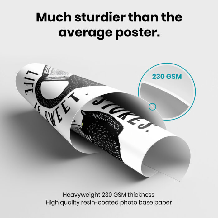 Bookstores Cats Life Is Sweet  Room Decor - Home Decor For Home -  Cat Reading Book Unframed Wall Poster - Image 3