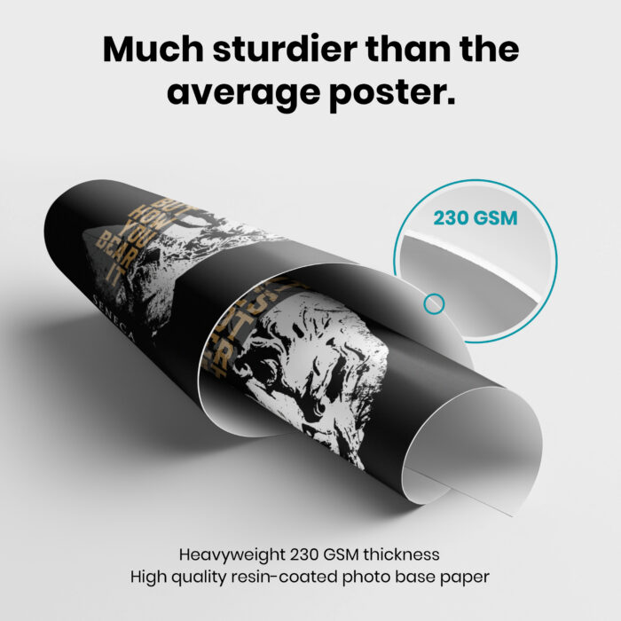 043011-003.GSM_.jpg Seneca Stoicism  Room Decor - Home Decor For Home -  Seneca Quote Unframed Wall Poster - Image 3