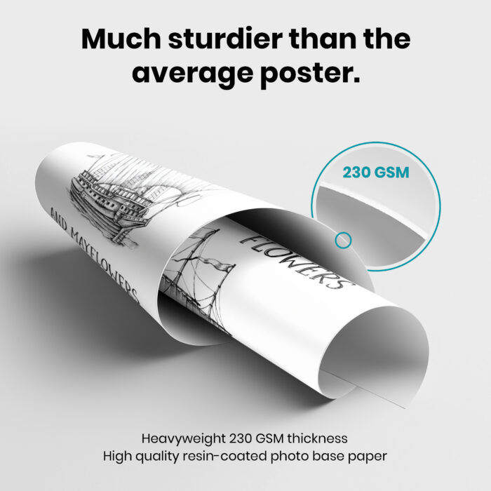 April Showers Bring May Flowers  Room Decor - Home Decor For Home -  Mayflower History Teacher Unframed Wall Poster - Image 3