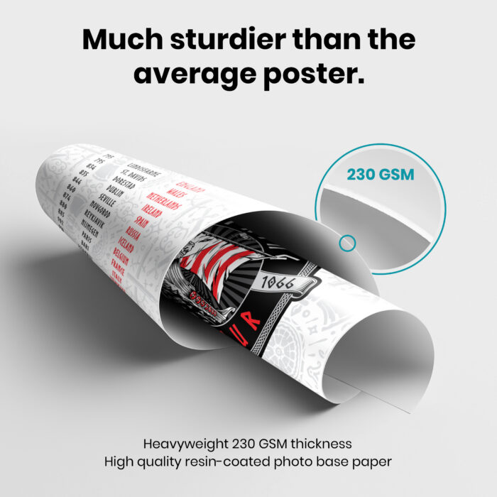 History Viking World Tour Funny  Room Decor - Home Decor For Home -  Front and Backprint Medieval Unframed Wall Poster - Image 3