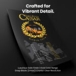 Gaius Julius Caesar World Tour  Room Decor - Home Decor For Home -  Front & Backprint SPQR Caesar Unframed Wall Poster - Image 4