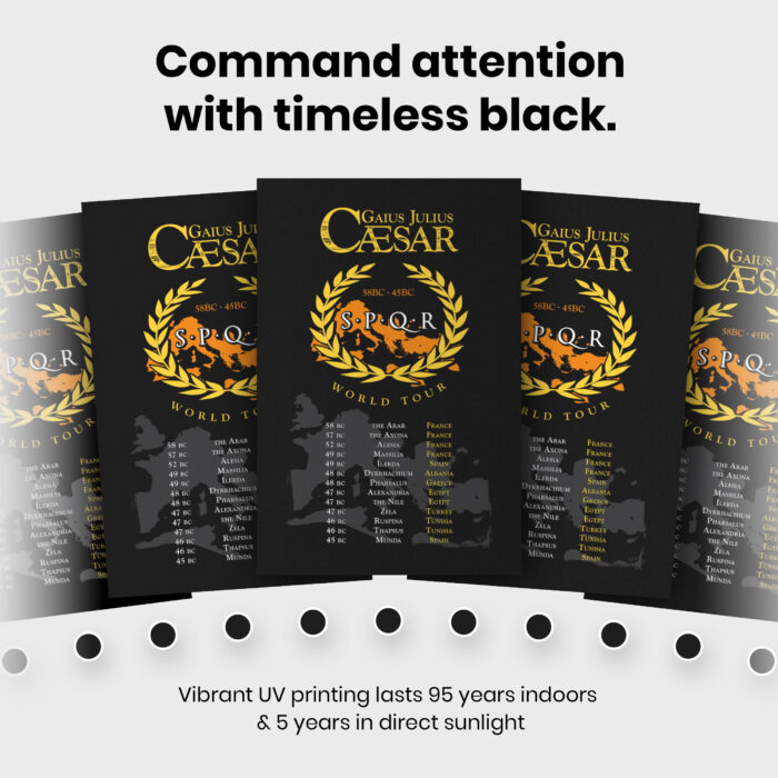 Gaius Julius Caesar World Tour  Room Decor - Home Decor For Home -  Front & Backprint SPQR Caesar Unframed Wall Poster - Image 6